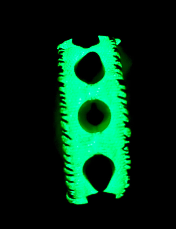 Studded Punk Bracelet Glow In The Dark - Image 2